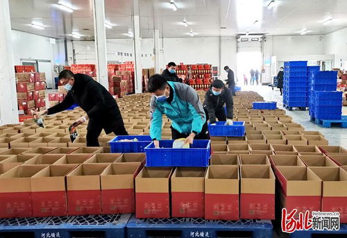 石家庄洛杉奇 惠民套餐从厂到家 全力保障食品供应