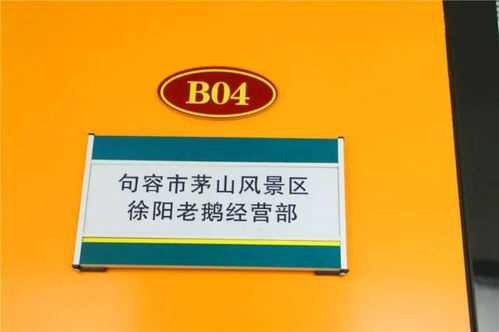 亮相天王唐陵 华东森林产品电商城,助力森林产品搭上 进城直通车