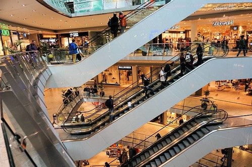 竹产品在市场营销上还存在哪些问题
